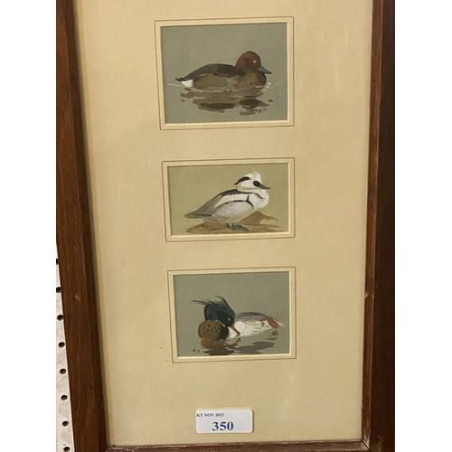 350 - Archibald Thorburn (1860-1721), 3 watercolours mounted as one, 