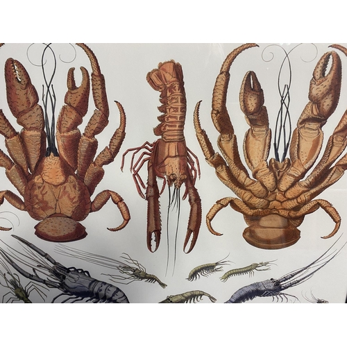 374 - Pair of modern decorative gilt glazed framed prints of crustaceans, 40 x 52cm