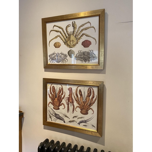 374 - Pair of modern decorative gilt glazed framed prints of crustaceans, 40 x 52cm