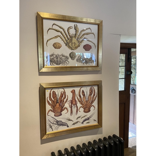 374 - Pair of modern decorative gilt glazed framed prints of crustaceans, 40 x 52cm