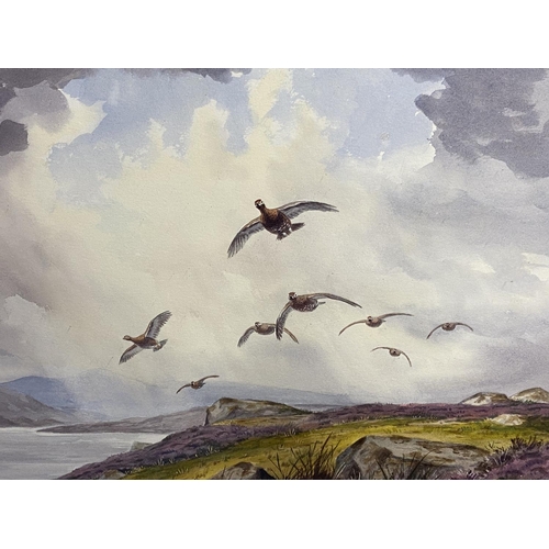 381 - J C HARRISON (1898-1985), watercolour on paper, Grouse in Flight, on glazed frame, 28x 40cm, signed ... 