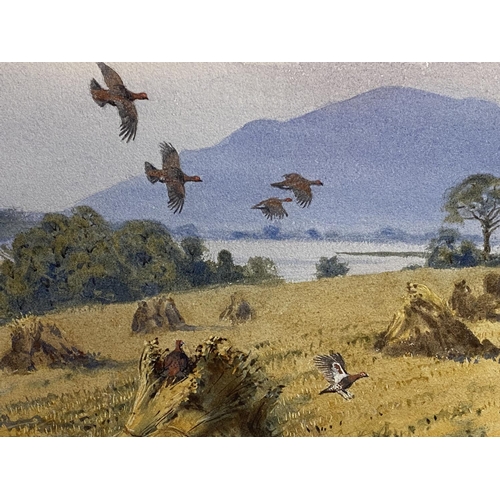 382 - J C HARRISON (1898-1985), watercolour on paper, Birds in Flight, on glazed frame, 38x 55cm , signed ... 