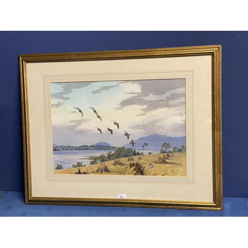 382 - J C HARRISON (1898-1985), watercolour on paper, Birds in Flight, on glazed frame, 38x 55cm , signed ... 