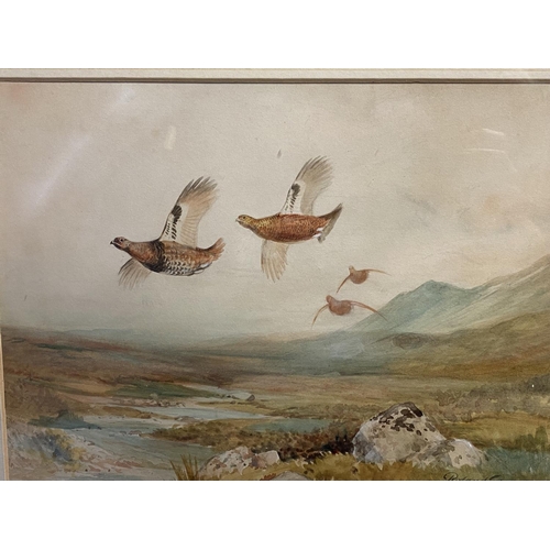 383 - ROWLAND GREEN (1890-1972), watercolour on paper, of Game Birds in Flight in gilt glazed frame, signe... 