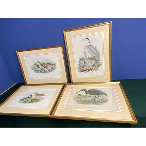 396 - Four decorative  bird prints, in glazed frames by J Gould and H Richter