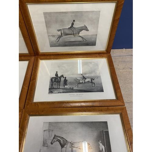 419 - A set of 9 equestrian prints in glazed walnut frames, printed J Doyle lithographs, printed by C Hull... 