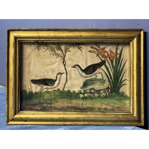 426 - C19th century watercolour on silk, of exotic birds and flowers in a gilt glazed frame 17.5 cm x 27.5... 