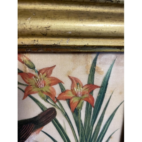 426 - C19th century watercolour on silk, of exotic birds and flowers in a gilt glazed frame 17.5 cm x 27.5... 