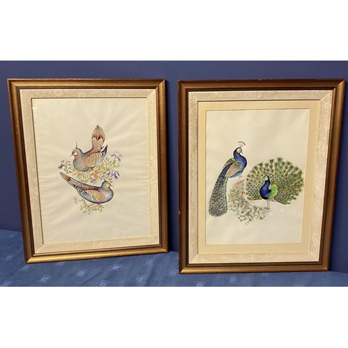 428 - M CLUTTERBUCK (British xx) a pair of watercolour pencil on paper of peacocks and exotic birds in gil... 