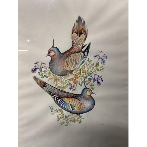 428 - M CLUTTERBUCK (British xx) a pair of watercolour pencil on paper of peacocks and exotic birds in gil... 