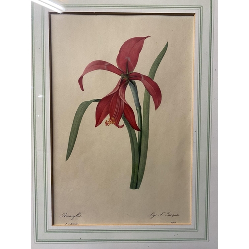 439 - A collection of floral prints in gilt glazed frames 32cm x 22cm (5)