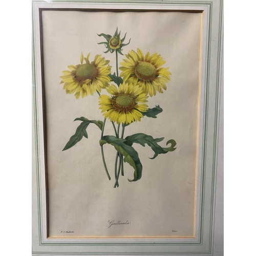 439 - A collection of floral prints in gilt glazed frames 32cm x 22cm (5)