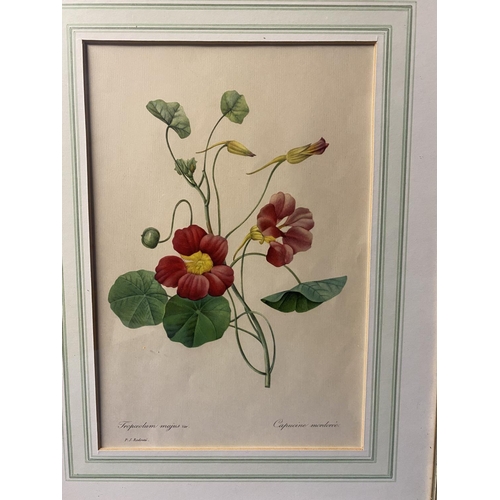 439 - A collection of floral prints in gilt glazed frames 32cm x 22cm (5)