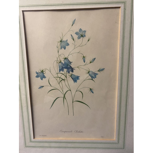 439 - A collection of floral prints in gilt glazed frames 32cm x 22cm (5)