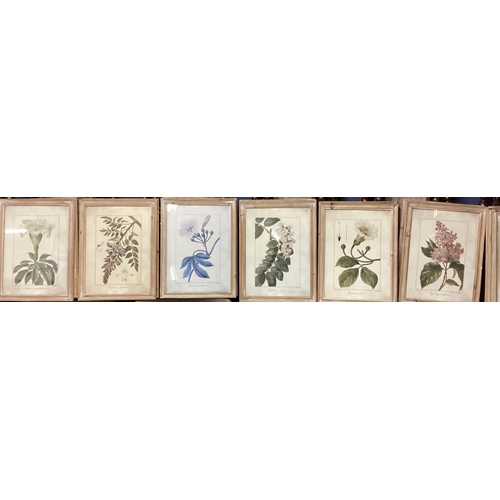 394 - Set of 18 OKA botanical framed and glazed pictures.  Including the frame 35cm x 46 cm