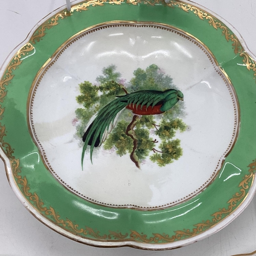 180 - A Collection of Staffordshire plates, gilt green borders with central hand painted birds together wi... 