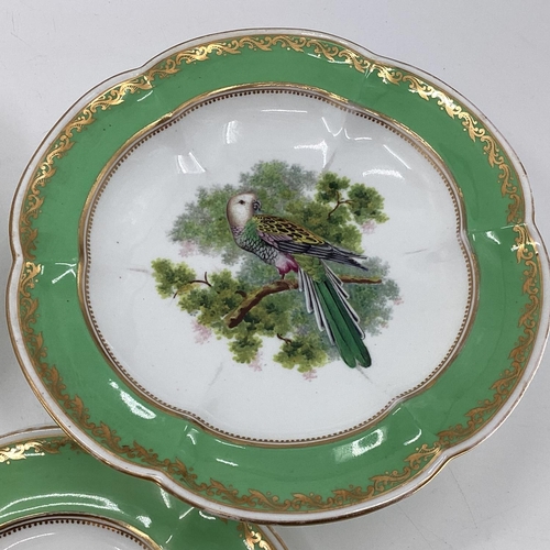 180 - A Collection of Staffordshire plates, gilt green borders with central hand painted birds together wi... 