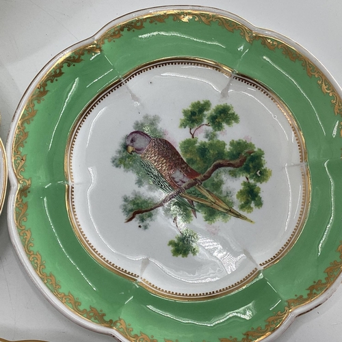 180 - A Collection of Staffordshire plates, gilt green borders with central hand painted birds together wi... 