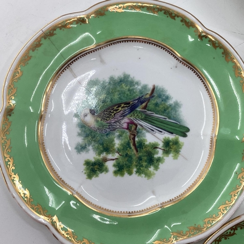 180 - A Collection of Staffordshire plates, gilt green borders with central hand painted birds together wi... 