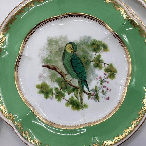 180 - A Collection of Staffordshire plates, gilt green borders with central hand painted birds together wi... 