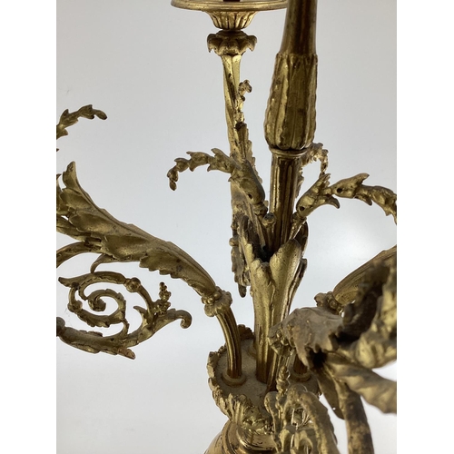 258 - Pair of C19th gilt brass five branch table candelabras, on circular stepped bases, with goats head d... 