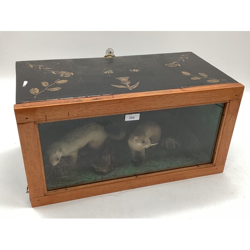 266 - Taxidermy of a pair of stoats in naturalistic environment, in glazed case