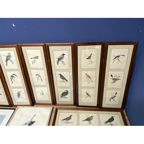 429 - Quantity of birds, animal prints all as found, and 3 watercolours, including Sarah Crawshaw, and 4 f... 