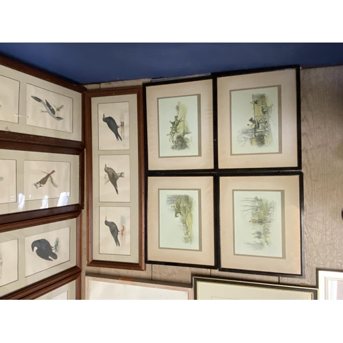 429 - Quantity of birds, animal prints all as found, and 3 watercolours, including Sarah Crawshaw, and 4 f... 