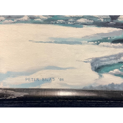 434 - PETER BILAS, 1952,Acrylic on Canvas, of an Antarctic Nautical scene, signed and dated lower left 198... 