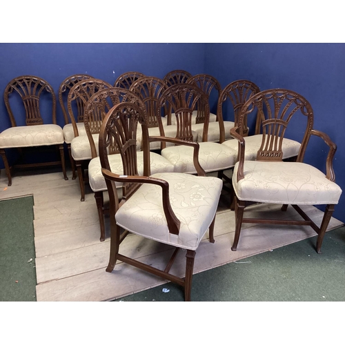 467 - A good set of 12 (10+2 carvers) Chippendale style dining chairs with cream upholstery, 95cmH