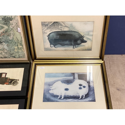 404 - Mixed lot of framed prints to include images of pigs, classic motor etc various sizes