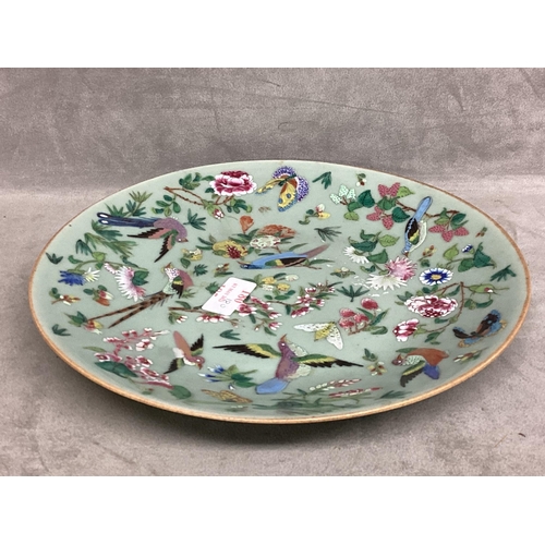 180 - A C19th Chinese Celadon Porcelain plate decorated in Polychrome enamels, birds, butterflies, and flo... 