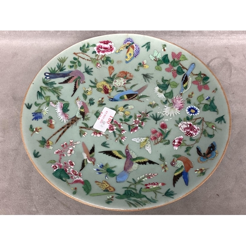 180 - A C19th Chinese Celadon Porcelain plate decorated in Polychrome enamels, birds, butterflies, and flo... 