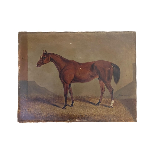 407 - A C19th style unframed oil on canvas of a thoroughbred in stable, annotated Peter Simple. (Peter Sim... 