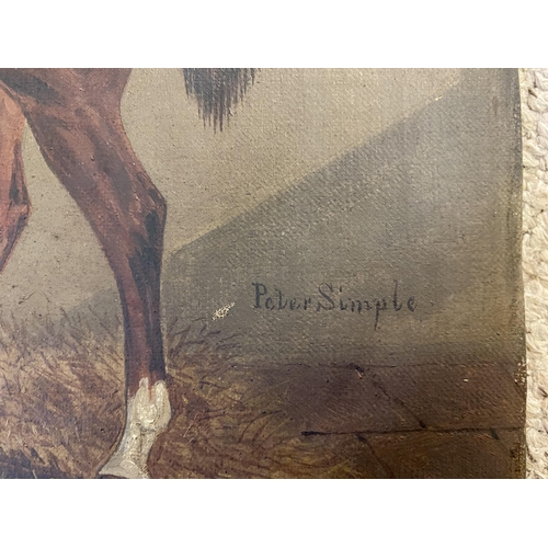 407 - A C19th style unframed oil on canvas of a thoroughbred in stable, annotated Peter Simple. (Peter Sim... 