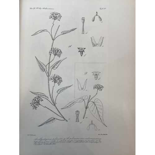 399 - Morans R Descole, Genera Et Species Plantarum Argentarum, in 3 volumes, Kraft LTA, Buenos Airies 194... 