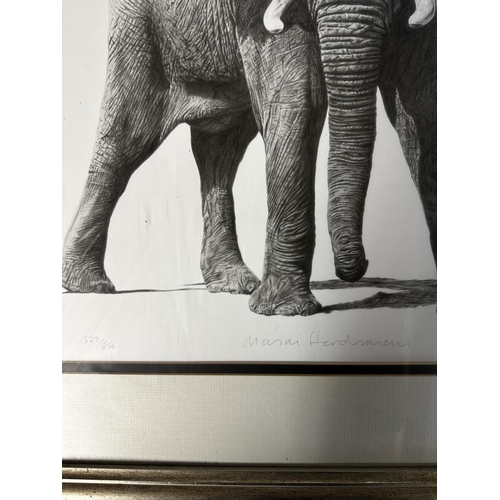 500 - Two modern silver framed and glazed prints of drawings of an elephant  and lions, indistinctly signe... 