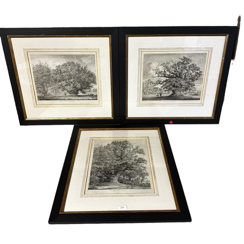 510 - A set of three matching black painted wooden and gilt framed and glazed lithographs, 