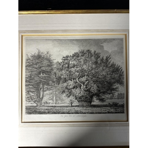 510 - A set of three matching black painted wooden and gilt framed and glazed lithographs, 