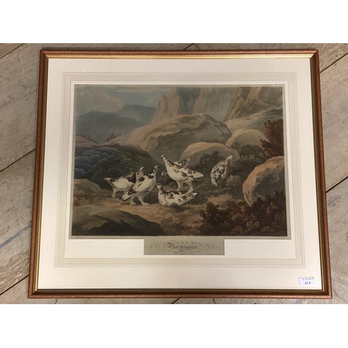 414 - A framed and glazed coloured aquatint, after Reinagle, Ptarmigan, 43cm x53cm