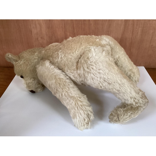 117 - Rare, Steiff White, Original Teddy, 75cm, circa 1955-64, with button, Growler, hump on back; conditi... 