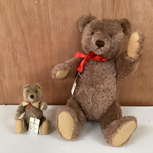 97 - Two original Steiff Bears, 1950s, to include 52cm unusual colour with button, Growler; and a 21cm St... 