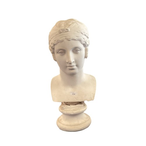 254 - A plaster bust of a Grecian head, base and head separate, some losses and wear 47cm(h)