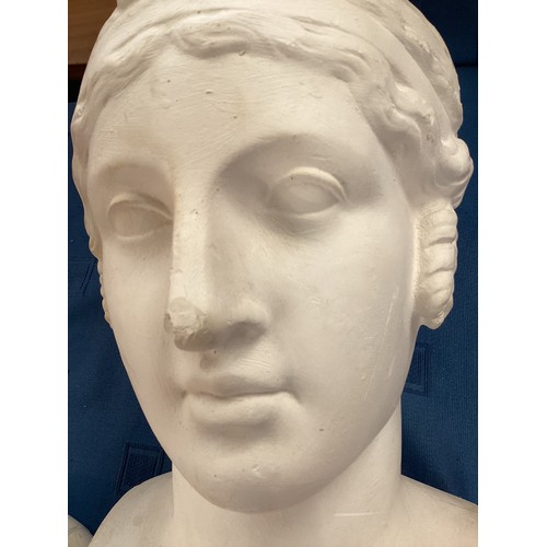 254 - A plaster bust of a Grecian head, base and head separate, some losses and wear 47cm(h)