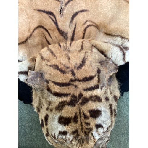 277 - Tiger skin rug with taxidermied head, with glass eyes and realistic teeth, see photos for condition ... 