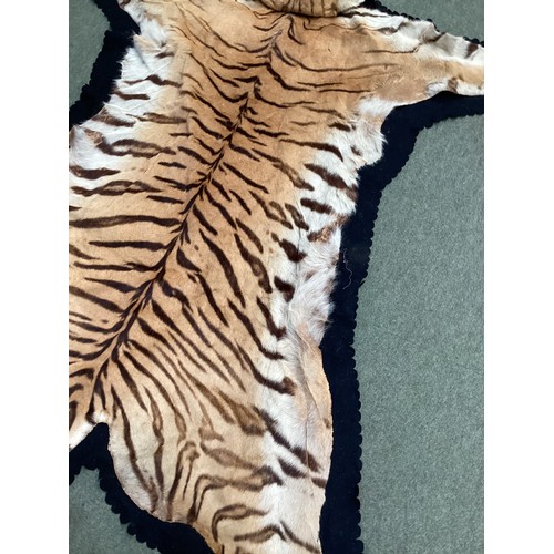 277 - Tiger skin rug with taxidermied head, with glass eyes and realistic teeth, see photos for condition ... 