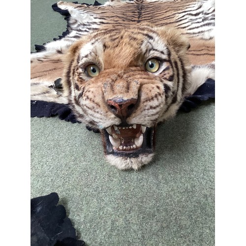 276 - Tiger skin rug with taxidermied head, with glass eyes and realistic teeth, see photos for condition ... 