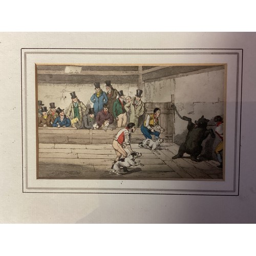 420 - A small pair of hand coloured prints, one of bear baiting, and bull/terrier fighting, 8 x 13.5 cm, P... 