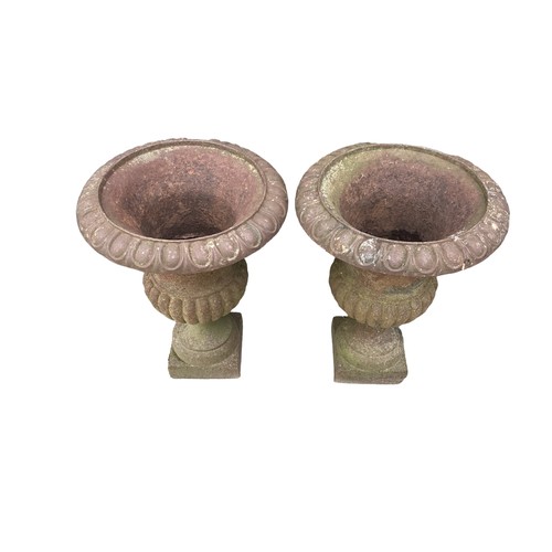 657 - Pair of good heavy cast iron Campana Urns 78 cm H x 58 cm W