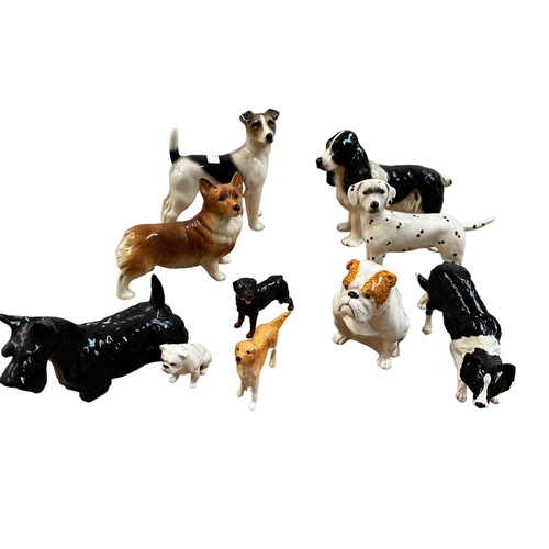 240 - A china dog collection to include: 4 x Beswick - Scottie, Golden Retriever, Rotweiller, Bull dog; 2 ... 